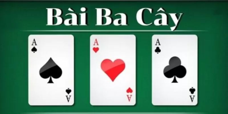 Tổng quan 3 cây Rikvip
